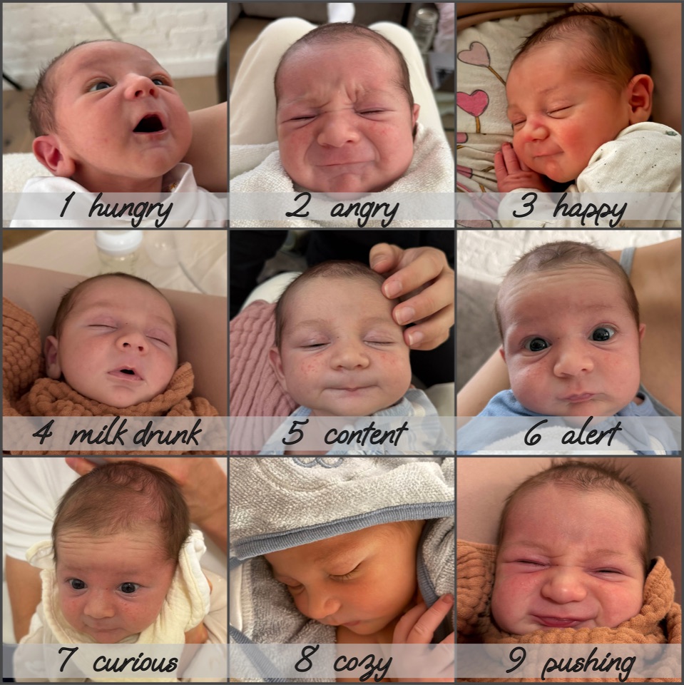 Leonardo, one month old